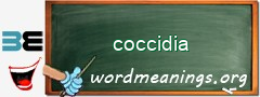 WordMeaning blackboard for coccidia